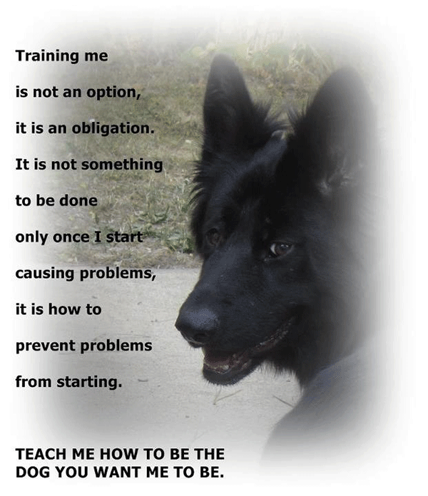 Gallery_Dog_Quote – Balanced Dog Academy